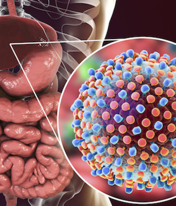 Hepatiti C. OBSH kualifikon paraprakisht autotestimin e parë. I përshtatshëm edhe për përdorim jo profesional